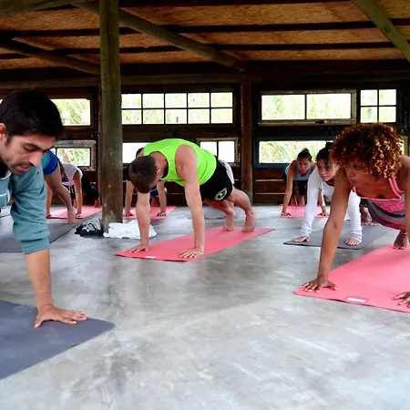 Bed & Breakfast Star Pine Sintra