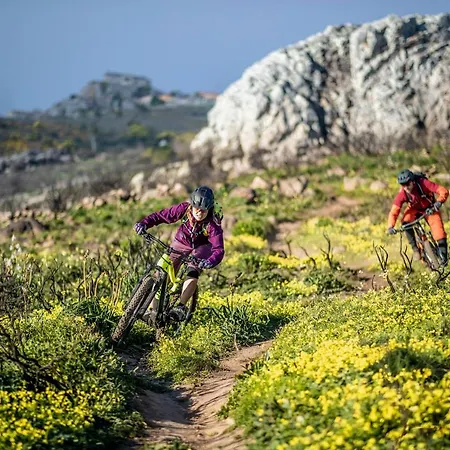 Bed and Breakfast Star Pine *