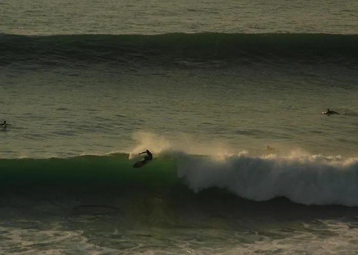 Star Pine Nocleg ze śniadaniem