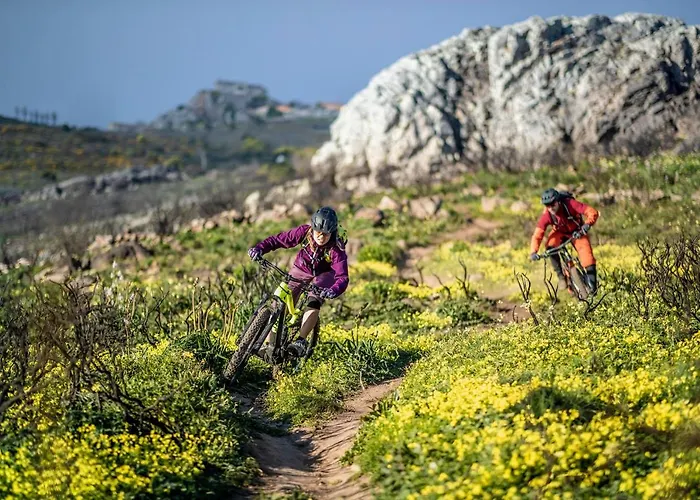 Nocleg ze śniadaniem Star Pine *