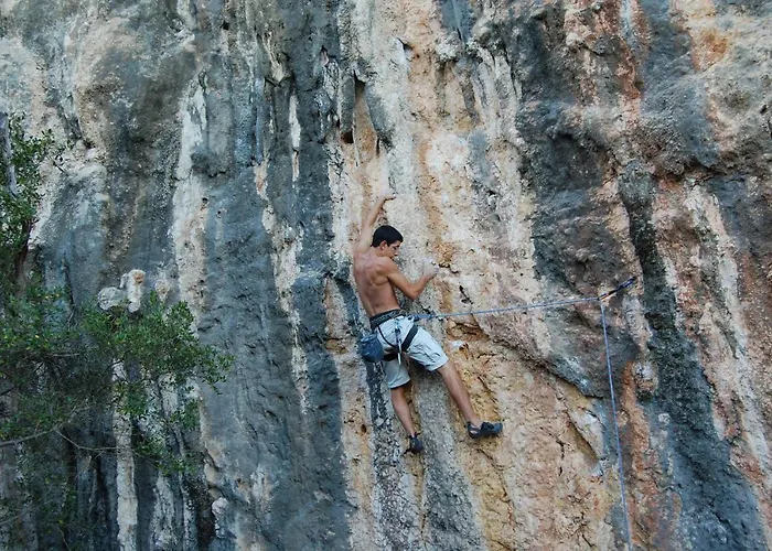 Star Pine Nocleg ze śniadaniem Sintra